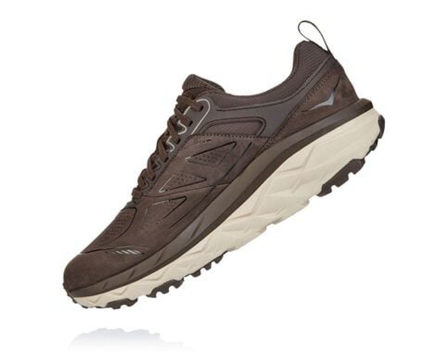 Tenis Hoka One One Trail Hombre Marrom - Challenger Bajos Gore-Tex - WTJI32958